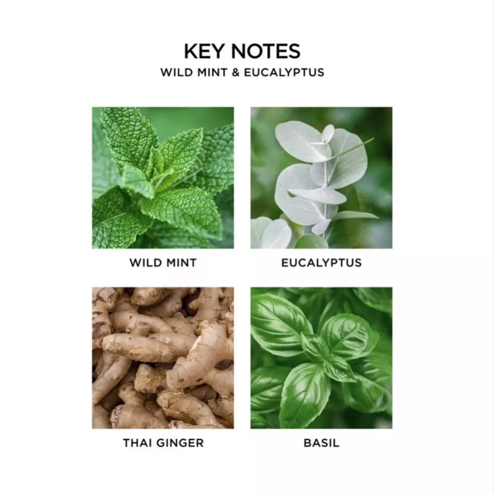 Nest Wellness Wild Mint & Eucalyptus Scented Candle, New in Box - Picture 2 of 4